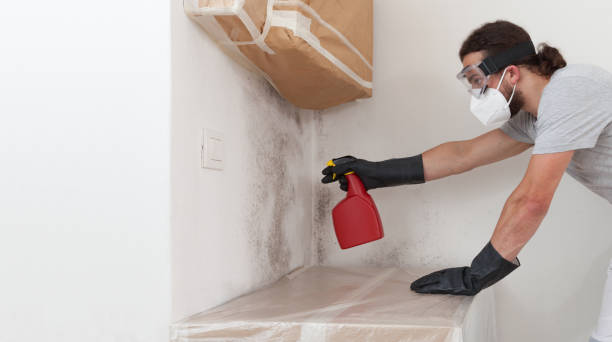Professional Mold Inspection technician working in Hauppauge, NY