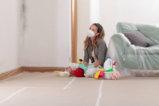 Reliable Mold Inspection contractor in Hauppauge, NY by WQB Mold Removal